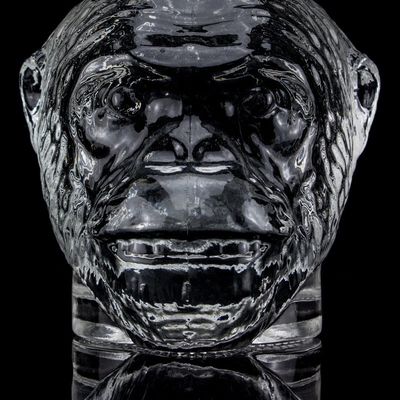 Μοναδικό σχεδιασμό 500ml 750ml μαιμουδάκι σχήμα γυάλινο μπουκάλι για βότκα οινόπνευμα με φελλό